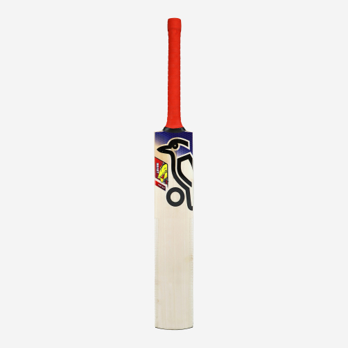 Beast Pro 6.0 EW Adult Cricket Bat