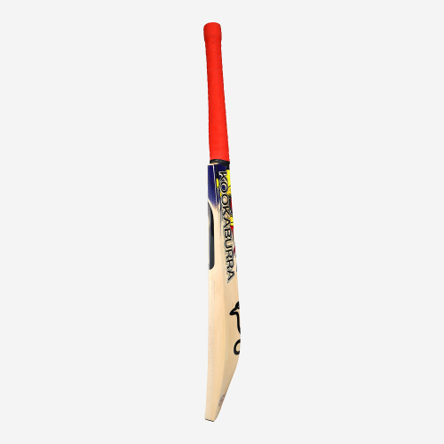 Beast Pro 6.0 EW Adult Cricket Bat
