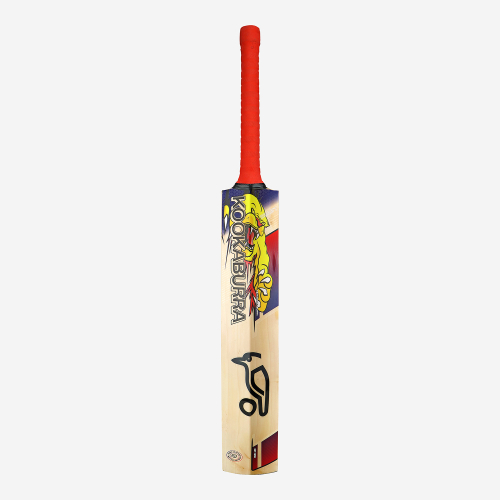 Beast Pro 6.0 EW Adult Cricket Bat