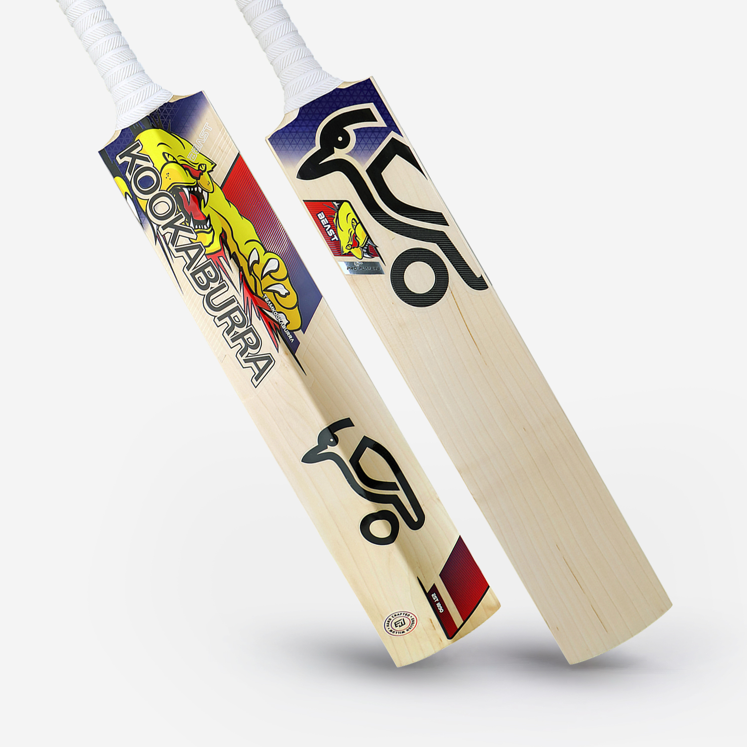 Alex Carey Cricket Bat