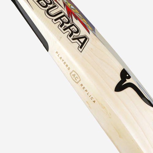 Alex Carey EW Players Replica Bat 2025/26