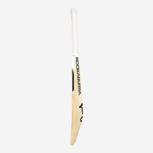 Ghost Pro 1.0 EW Adult Cricket Bat