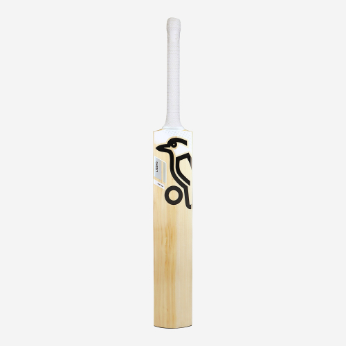 Ghost Pro 4.0 EW Adult Cricket Bat