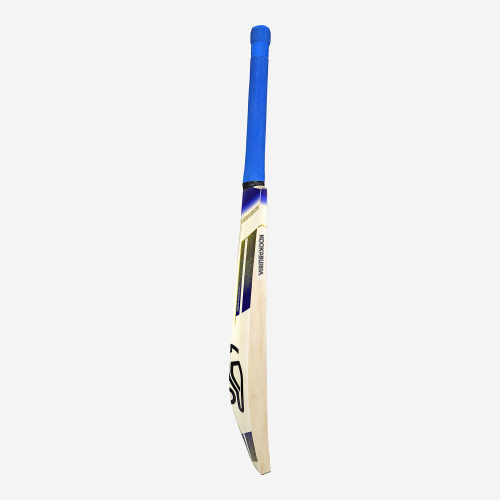 Monarch Pro Players EW 1.0 Adult Cricket Bat