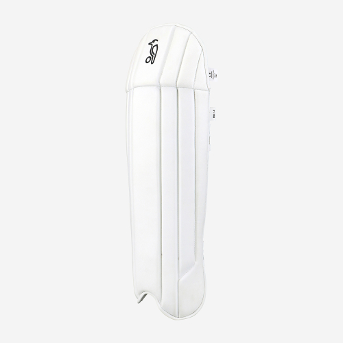 Pro 1.0 Wicket Keeping Pads