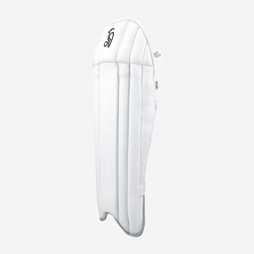 Pro 2.0 Wicket Keeping Pads