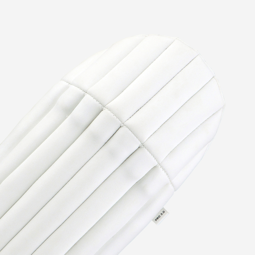 Pro 3.0 Wicket Keeping Pads