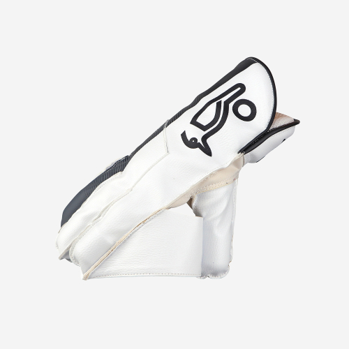 Pro 3.0 Wicket Keeping Gloves
