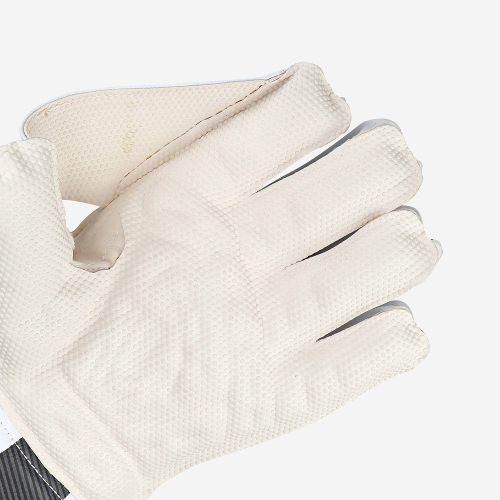 Pro 3.0 Wicket Keeping Gloves