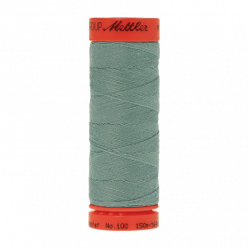 METTLER METROSENE 100 - 150M - 0229