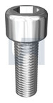 M24x100 NEPTUNE SOCKET SCREW Gr316