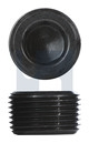 1-1/4 BSP PRESSURE PLUG HEX PLAIN