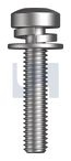 M6x30 SEMS SPR/FLT METAL TRD PAN PH Z/P