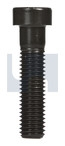 8-32x 3/4 UNC Blk  Low Head Socket Hd Cap Screw