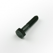 M06x30 CL10.9 Blk Hex Bolt Only-200*