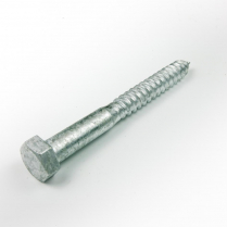 16mmx200 CL4.6 Gal Hex Head Coach Screw-50