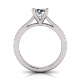 Half Round Shank | Round Four Claw Setting