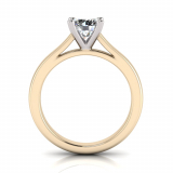 Half Round Shank | Round Four Claw Setting