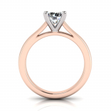 Half Round Shank | Round Four Claw Setting