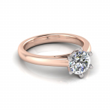 Half Round Shank | Round Six Claw Setting