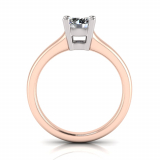 Half Round Shank | Double Bezel Four Claw Setting