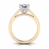 Half Round Shank | Corner Four Claw Setting