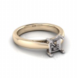 Half Round Shank | Princess Four Claw Setting