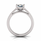 Half Round Shank | Princess Four Claw Setting