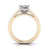 Half Round Shank | Princess Four Claw Setting