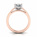 Half Round Shank | Princess Four Claw Setting