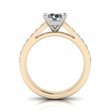 Channel Set Shoulder Shank | Four Claw Setting