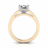 Pave Set Shoulder Shank | Princess Four Claw Setting