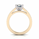 Pave Set Shoulder Shank | Princess Corner Four Claw Setting