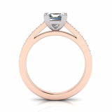 Pave Set Shoulder Shank | Princess Corner Four Claw Setting