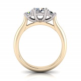 Half Round Shank | Four Claw Three Stone Setting