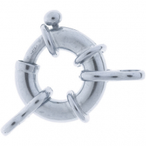 SS Bolt Ring with Final 12mm