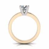 Half Round Shank | Round Four Claw Setting