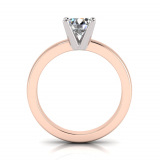 Half Round Shank | Round Four Claw Setting