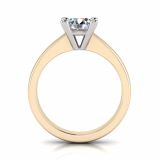 Half Round Shank | Round Four Claw Setting