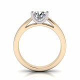 Half Round Shank | U Shape Four Claw Setting