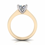 Reverse Taper Shank | Four Claw Setting