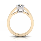 Low Half Round Shank | Double Gallery Four Claw Setting