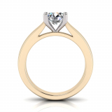 Upswept Half Round Shank | Round Four Claw Setting