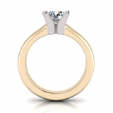 Half Round Shank | Four Claw Square Profile Setting