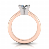 Half Round Shank | Four Claw Square Profile Setting