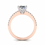 Scalloped Set Shank | Four Claw Setting