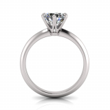 Knife Edge Shank | Cut-Out Six Claw Setting