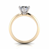 Knife Edge Shank | Cut-Out Six Claw Setting