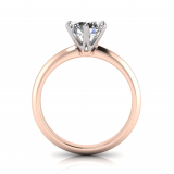 Knife Edge Shank | Cut-Out Six Claw Setting