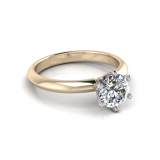 Knife Edge Shank | Cut-Out Six Claw Setting